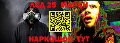 гидропоника Обнинск