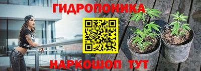 гидропоника Обнинск